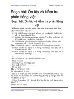 on tap va kiem tra phan tieng viet tap 2