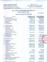 6 2 bc02 bao cao tai chinh tom tat da kiem toan 2016 0(1)