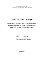 KHẢO SÁT QUY TRÌNH SẢN XUẤT VÀ HIỆU QUẢ KINH TẾ NGUỒN NĂNG LƯỢNG TÁI TẠO TỪ CHẤT THẢI TRONG CHĂN NUÔI TẠI TRẠI CHĂN NUÔI XUÂN PHÚ