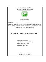 Đánh giá sức sản suất của đàn lợn nái ngoại nuôi tại trại lợn nái Công ty TNHH Phương Hà xã Hương Lung  huyện Cẩm Khê  tỉnh Phú Thọ. (Khóa luận tốt nghiệp)