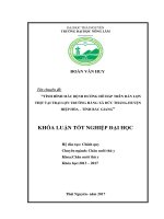 Tình hình mắc bệnh đường hô hấp trên đàn lợn thịt tại trại lợn Trường Hằng – xã Đức Thắng  huyện Hiệp Hòa  tỉnh Bắc Giang và biện pháp phòng trị. (Khóa luận tốt nghiệp)