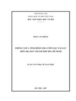 Phòng ngừa tình hình tội cướp giật tài sản trên địa bàn thành phố Hồ Chí Minh (LV thạc sĩ)