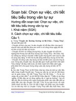 chon su viec chi tiet tieu bieu trong van tu su
