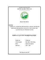 Nghiên cứu ảnh hưởng phân biochar – khoáng thế hệ mới BMT18 đến sinh trưởng, năng suất và chất lượng chè tại huyện đại từ tỉnh thái nguyên 