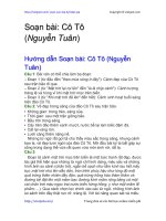 Soạn bài: Cô Tô (Nguyễn Tuân) | Soạn văn 6 hay nhất tại VietJack PDF