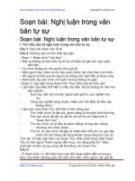 nghi luan trong van ban tu su