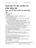 on tap va kiem tra phan tieng viet