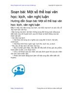 mot so the loai van hoc kich van nghi luan