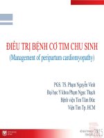 ĐIỀU TRỊ BỆNH CƠ TIM CHU SINH (Management of peripartum cardiomyopathy)  PGS. TS. Phạm Nguyễn Vinh Đại học Y khoa Phạm Ngọc Thạch Bệnh viện Tim Tâm Đức Viện Tim Tp. HCM