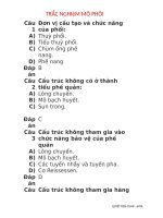 100 câu trac nghiem mo phoi