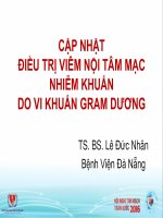 Viêm nội tâm mạc nhiễm khuẩn do vi khuẩn gram dương điều trị năm 2016 có gì mới 