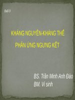 KHÁNG NGUYÊN-KHÁNG THỂ PHẢN ỨNG NGƯNG KẾT