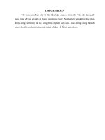 Tiểu luận quản trị học: THỰC TRẠNG VỀ PHONG CÁCH LÃNH ĐẠOCỦA G.Đ LEE YUNG HYUN TẠI CÔNG TY TNHH SAMDUCK KDP VIET NAM LLC