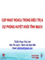 Cập nhật về thuốc kháng đông đường uống từ điều trị đến dự phòng thứ phát huyết khối tĩnh mạch 