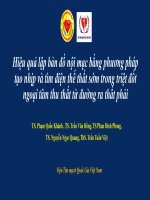 Hiệu quả lập bản đồ nội mạc bằng phương pháp tạo nhịp và tìm điện thế thất sớm trong triệt đốt ngoại tâm thu thất từ đường ra thất phải 