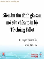 Đánh giá sau phẫu thuật sửa toàn bộ tứ chứng fallot 