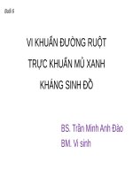VI KHUẨN ĐƯỜNG RUỘT TRỰC KHUẨN MỦ XANH KHÁNG SINH ĐỒ