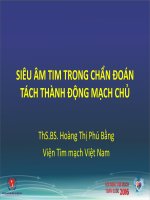 Đánh giá chênh áp qua các van tim bằng siêu âm doppler tim 