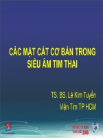 Môt số mặt cắt cơ bản trong siêu âm tim thai 