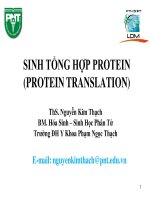 SINH TỔNG HỢP PROTEIN  (PROTEIN TRANSLATION) ThS. Nguyễn Kim ThạchBM. Hóa Sinh – Sinh Học Phân TửTrường ĐH Y Khoa Phạm Ngọc Thạch