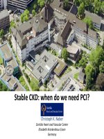 Bệnh mạch vành ổn định với tổn thương nhiều nhánh ở người có bệnh thận mạn  khi nào nên can thiệp 