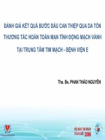 Đánh giá kết quả bước đầu can thiệp tắc hoàn toàn mạn tính động mạch vành qua đường ống thông tại trung tâm tim mạch bệnh viện e 