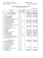 Báo cáo tài chính hợp nhất quý 1 năm 2017