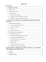 PHÂN TÍCH CẤU TRÚC VĂN HÓA CỦA TẬP ĐOÀN VIỄN THÔNG QUÂN ĐỘI VIETTEL