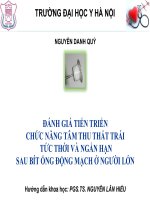 Đánh giá tiến triển chức năng tâm thu thất trái tức thời và ngắn hạn sau bít ống động mạch ở người lớn 