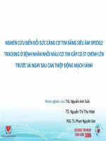 Nghiên cứu sức căng cơ tim bằng siêu âm speckle tracking 2d ở bệnh nhân nhồi máu cơ tim cấp có ST chênh lên trước và ngay sau can thiệp động mạch vành 