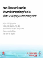 Suy tim có chức năng thất trái ở mức ranh giới tiên lượng và điều trị có gì mới 