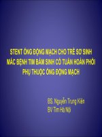 Stent ống động mạch cho trẻ sơ sinh có tuần hoàn phổi phụ thuộc ống động mạch 