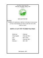 Nghiên cứu bệnh do ấu trùng Cysticercus cellulosae gây ra ở lợn (bệnh gạo lợn) tại huyện Tân Uyên  tỉnh Lai Châu. (Khóa luận tốt nghiệp)