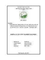 Tình hình mắc bệnh viêm tử cung trên đàn lợn nái sinh sản nuôi tại trại Công ty TNHH Phương Hà  xã Hương Lung  huyện Cẩm Khê  tỉnh Phú Thọ sinh sản nuôi tại trại Công ty TNHH Phương Hà  xã Hương Lung  huyện Cẩm Khê  tỉnh Phú Thọ . (Khóa luận tốt nghiệp)