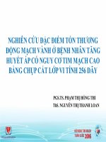 Đặc điểm tổn thương ĐMV bằng chụp cắt lớp vi tính ở người THA có nguy cơ cao 