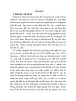 Đánh giá chính sách tái định cư khi nhà nước thu hồi đất từ thực tiễn tỉnh quảng nam (tt) 