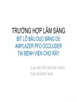 Bít PFO dự phòng đột quỵ 