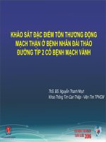 Khảo sát đặc điểm tổn thương động mạch thận ở bệnh nhân đái tháo đường týp 2 có bệnh mạch vành 