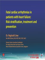 Rối loạn nhịp nguy hiểm ở người bệnh suy tim phân tầng nguy, xử trí và dự phòng 