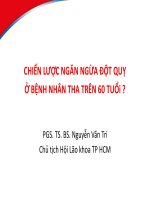 CHIẾN LƯỢC NGĂN NGỪA ĐỘT QUỴ Ở BỆNH NHÂN THA TRÊN 60 TUỔi ? PGS. TS. BS. Nguyễn Văn Trí Chủ tịch Hội Lão khoa TP HCM