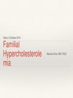 Cập nhật về chẩn đoán và điều trị rối loạn lipid máu thể gia đình 