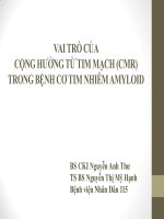 VAI TRÒ CỦA  CỘNG HƯỞNG TỪ TIM MẠCH (CMR)  TRONG BỆNH CƠ TIM NHIỄM AMYLOID