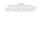 Công tác tuyển dụng nhân lực tại phòng Nội vụ thành phố Tuyên Quang