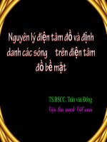 Nguyên lý cơ bản về điện tâm đồ và định danh các sóng trên điện tâm đồ bề mặt 