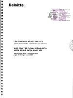 Báo cáo tài chính bán niên 2017 đã được soát xét của Tổng công ty Lắp Máy Việt Nam - CTCP