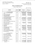 Báo cáo tài chính công ty mẹ quý 4 năm 2016