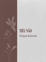 Tiểu não, ThS Nguyễn Thị Hoài Châu