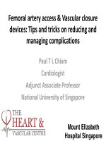 Đường vào từ động mạch đùi và các dụng cụ đóng mạch 