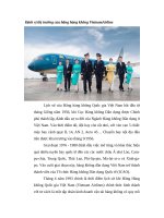 Định vị thị trường của hãng hàng không vietnamairline 