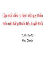 Tiêu sợi huyết như thế nào trong nhồi máu não cấp 